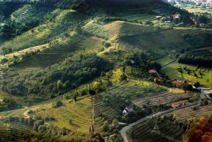 LE PIRAMIDI DI MONTEVECCHIA: E QUINDI USCIMMO A RIVEDER LE STELLE... @ Parco Regionale del Curone (LC)